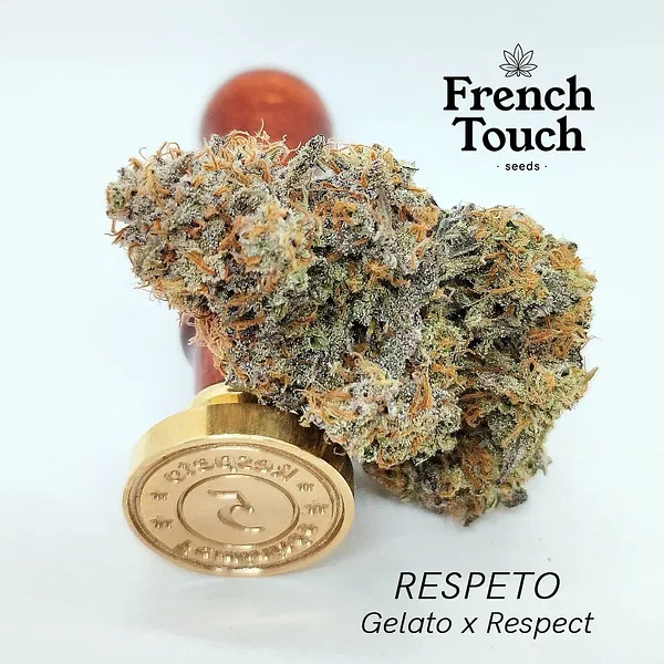 Respeto - French Touch Seeds