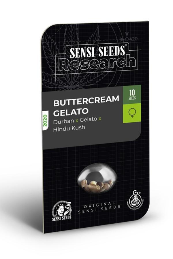 Buttercream Gelato - Sensi Seeds