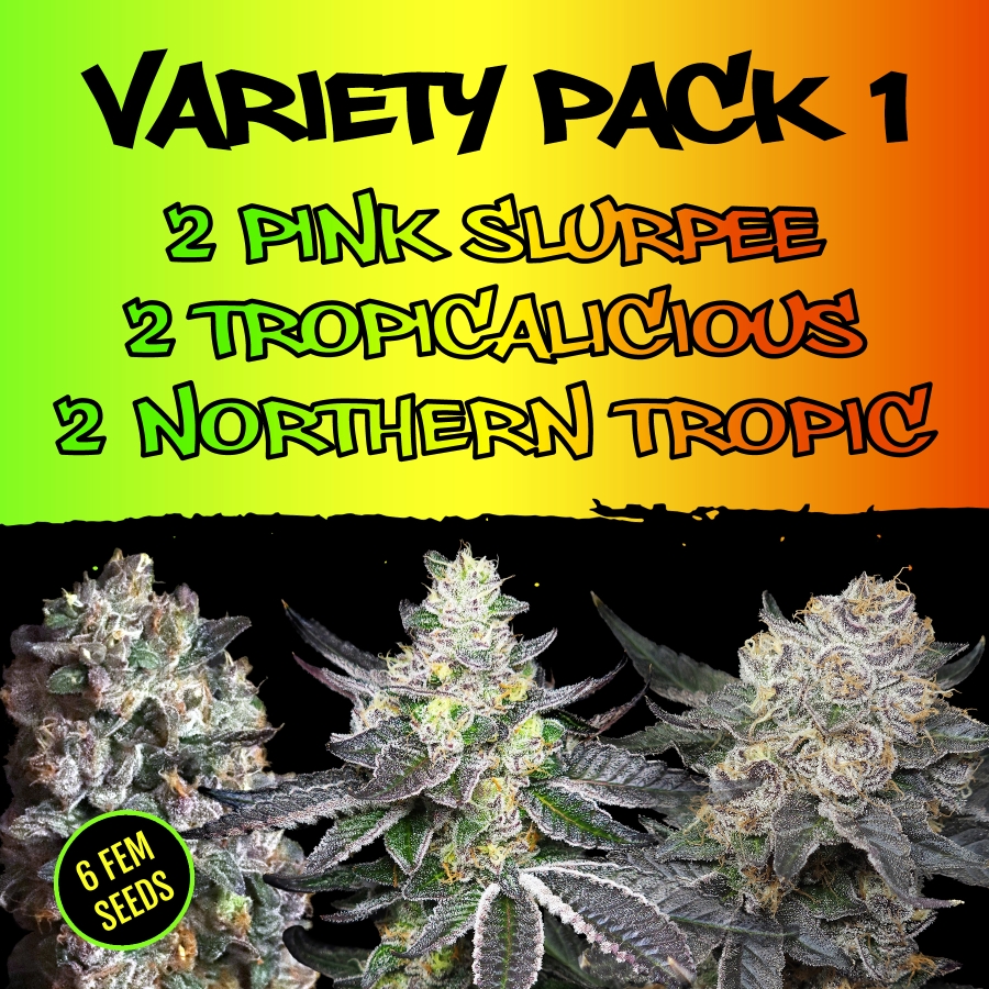 Variety Pack 1 - Elev8 Seeds