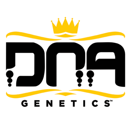 CheMACal Romance Auto - DNA Genetics