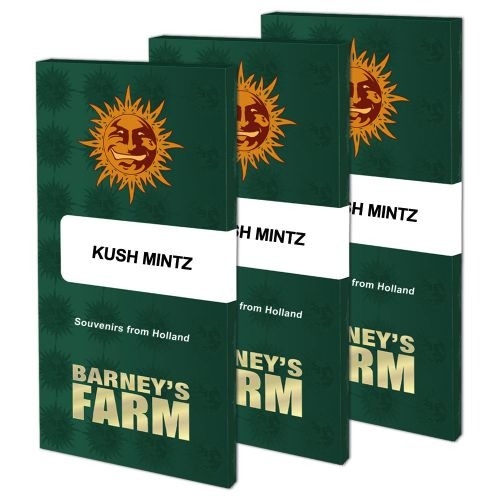 Kush Mintz - Barney's Farm