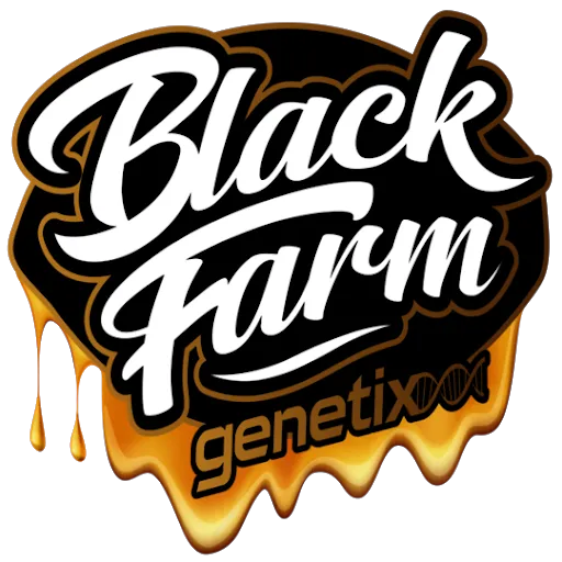 Tiramisu - Black Farm Genetix