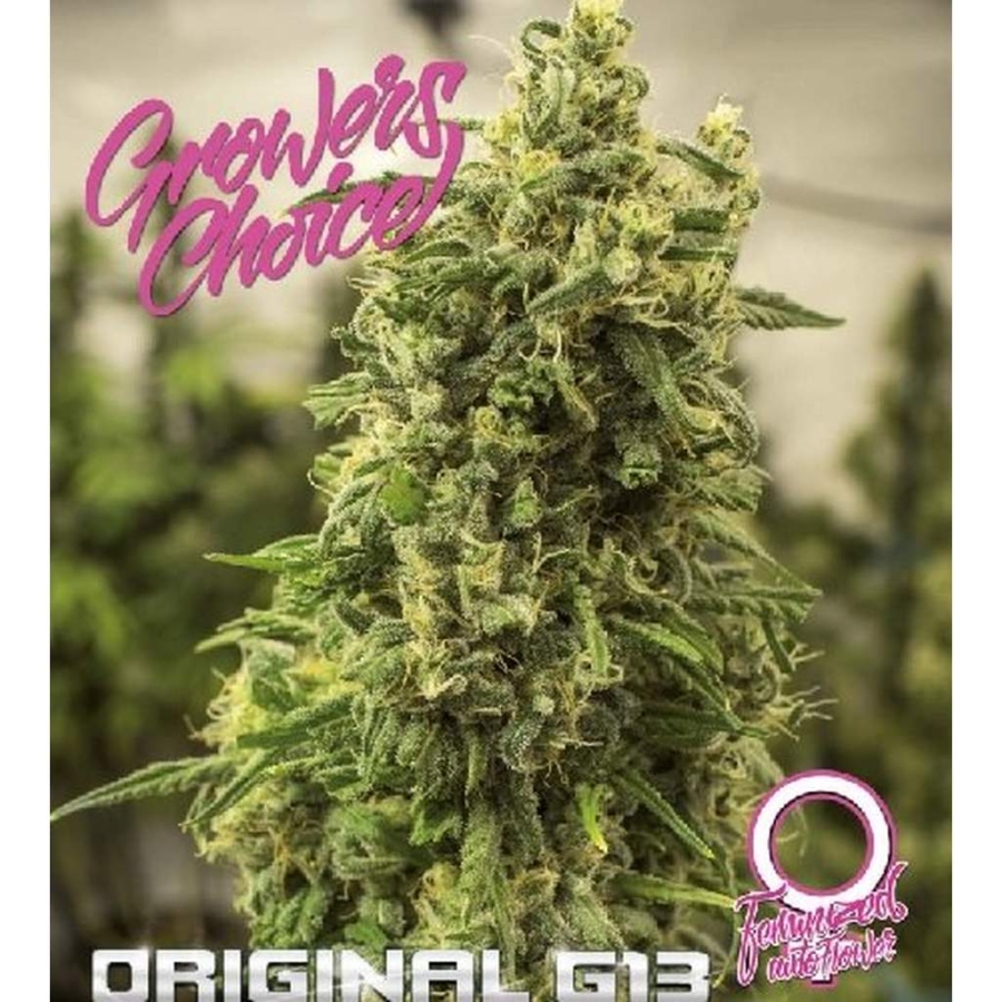 Original G13 Auto - Growers Choice