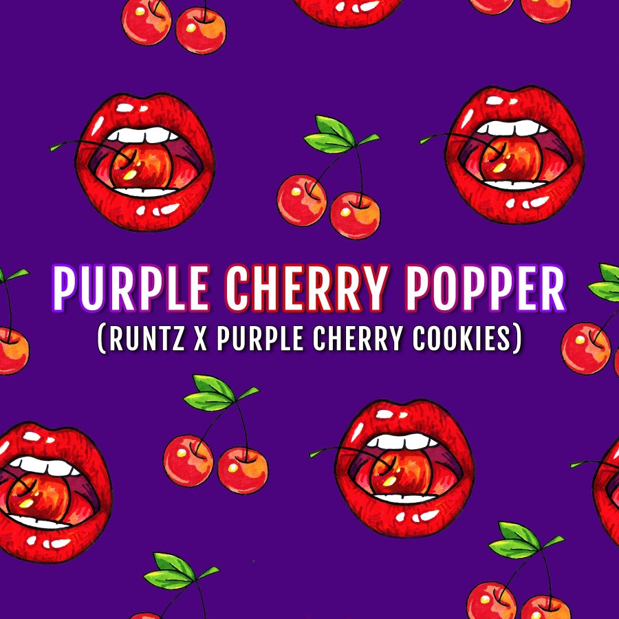 Purple Cherry Popper - ELEV8 Seeds