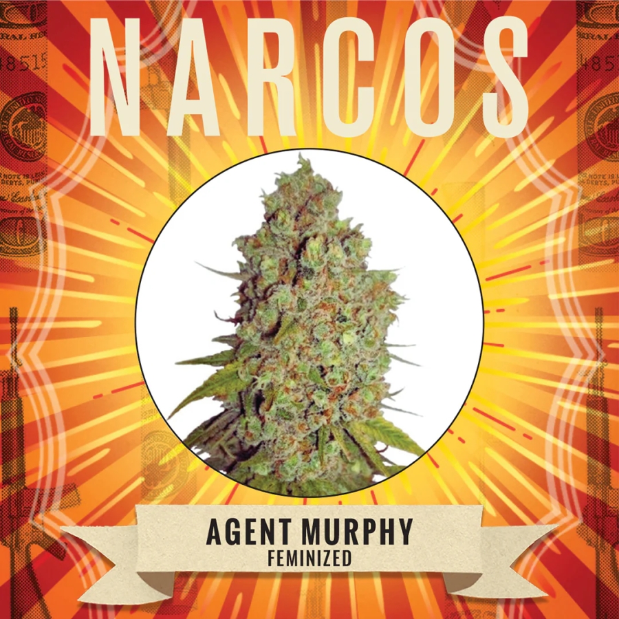 Agent Murphy - Narcos Seeds