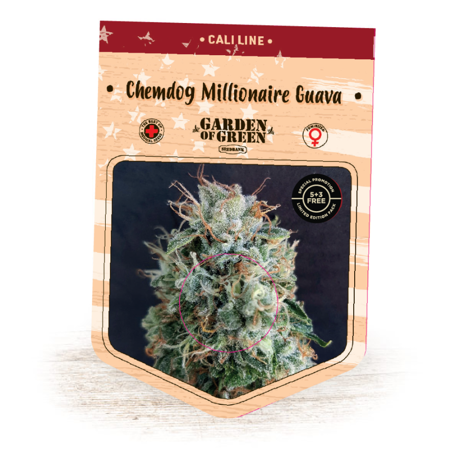 Chemdog Millionaire Guava - Garden of Green