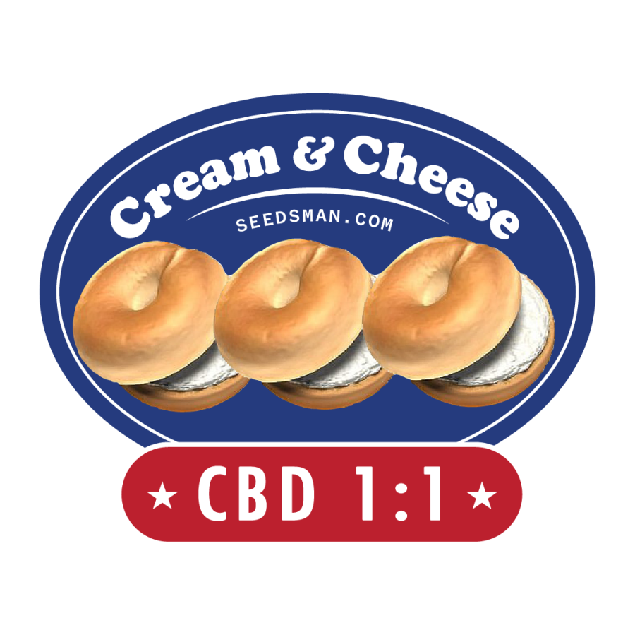 Cream & Cheese CBD 1:1 - Seedsman