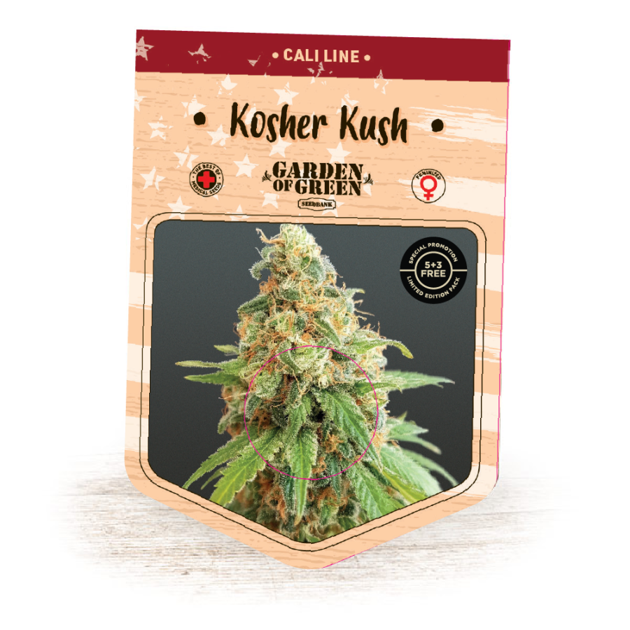 Kosher Kush - Garden of Green