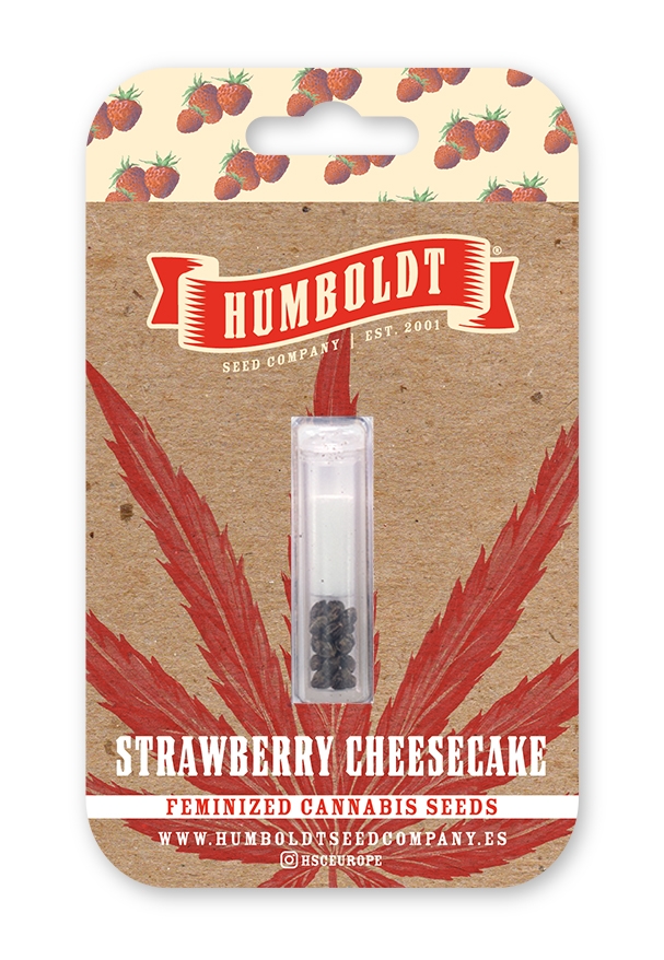 Strawberry Cheesecake Auto - Humboldt Seeds Company