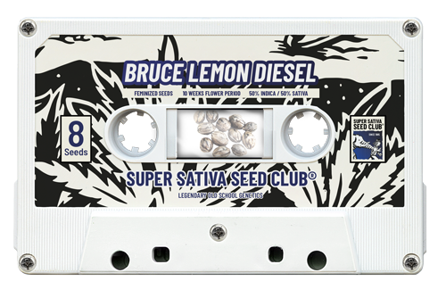 Bruce Lemon Diesel - Super Sativa Seed Club