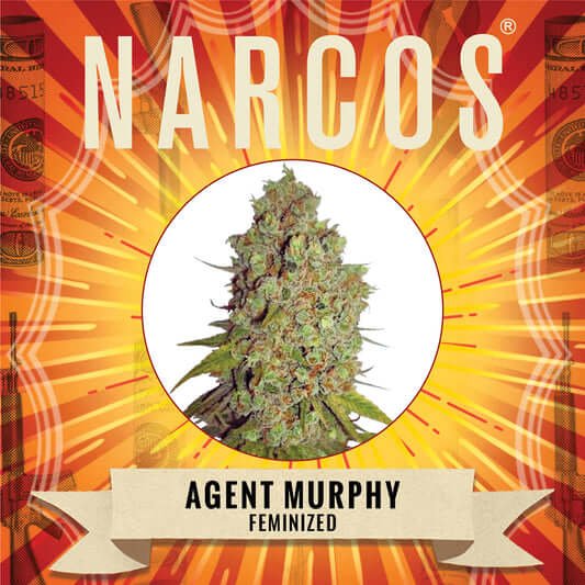 Narcos Agent Murphy Feminized