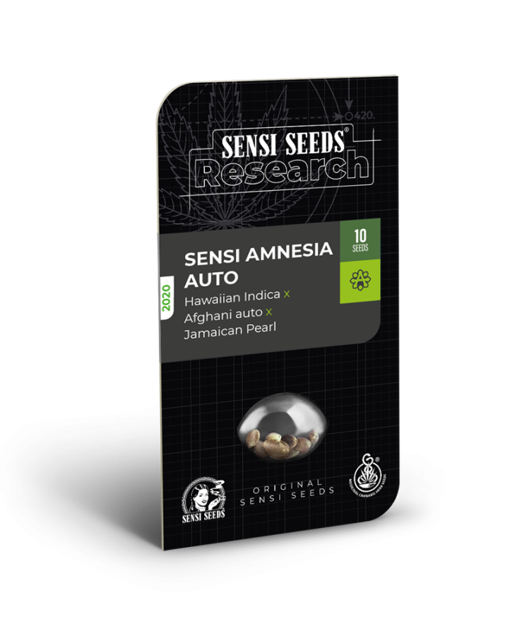 Sensi Amnesia Auto - Sensi Seeds