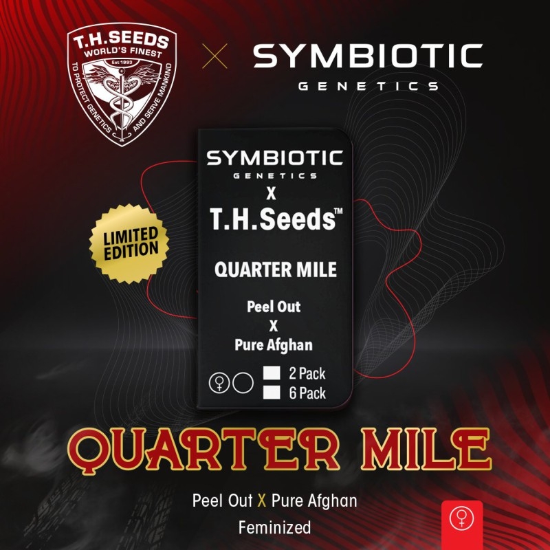 Quarter Mile - T.H. Seeds