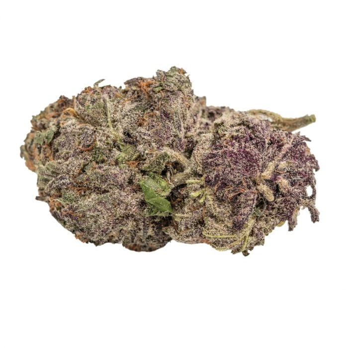 Ultra Violet GMO - Growers Choice