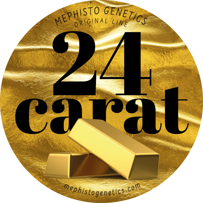24 Carat Auto - Mephisto Genetics