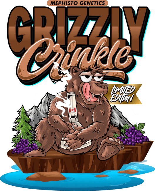 Grizzly Crinkle Auto - Mephisto Genetics