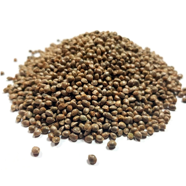 BULK Lemon Skunk Fast 100 Samen