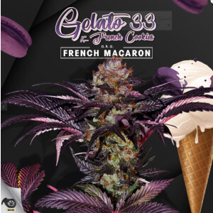 T.H. Seeds French Macaron - Gelato 33 X French Cookies Fem. 6St.