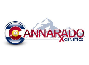 Mangopaya - Cannarado Genetics