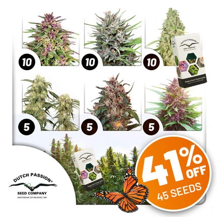 Outdoor-Pauschalangebot