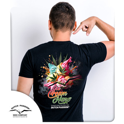 Ice Cream Haze T-Shirt