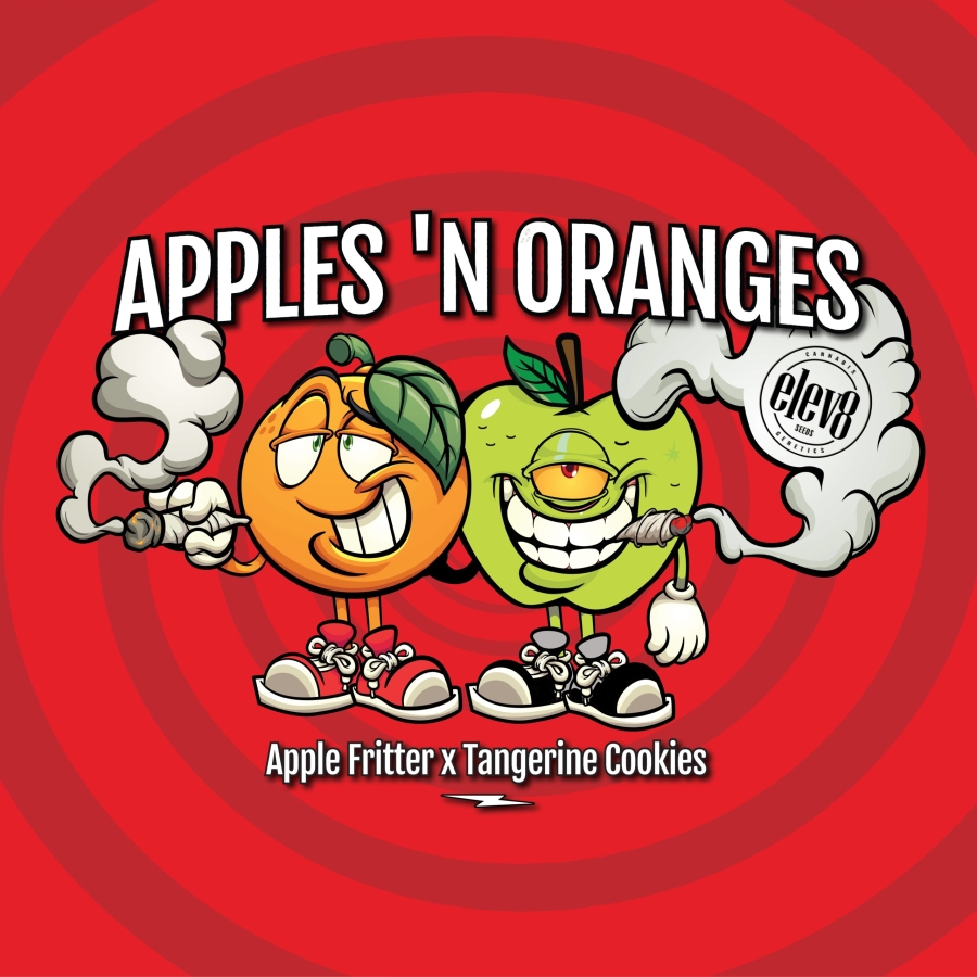 Apples ‘n Oranges - ELEV8 Seeds