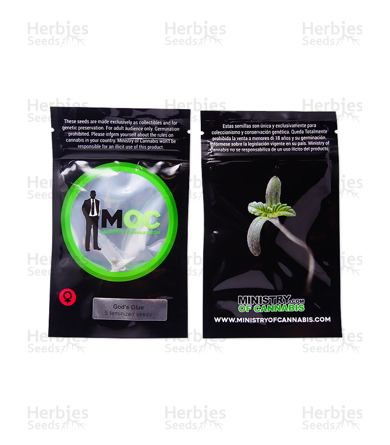 God's Glue (Ministry Of Cannabis) Cannabis-Samen