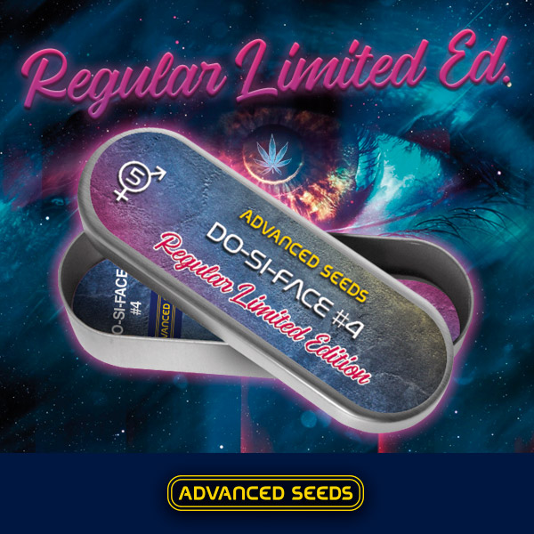 Do-Si-Dos #4 Reg. - Advanced Seeds