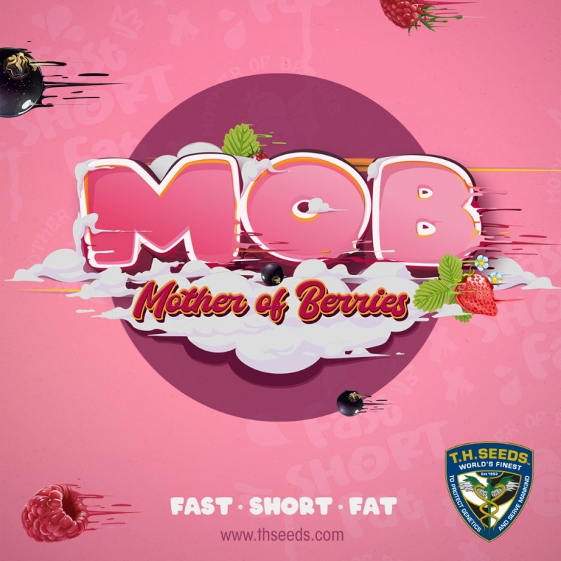 M.O.B. - T.H. Seeds