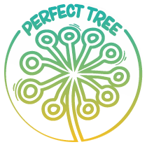 Peach Tree - Perfect Tree Seeds