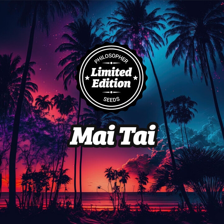 Mai Tai - Philosopher Seeds