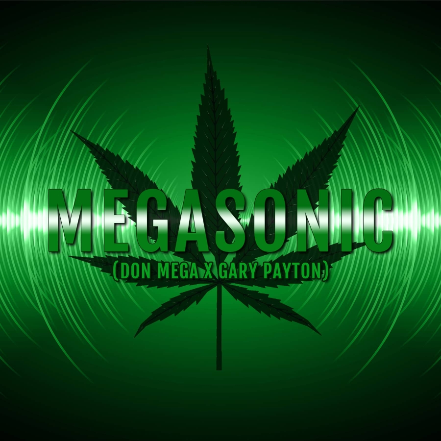 Megasonic - ELEV8 Seeds