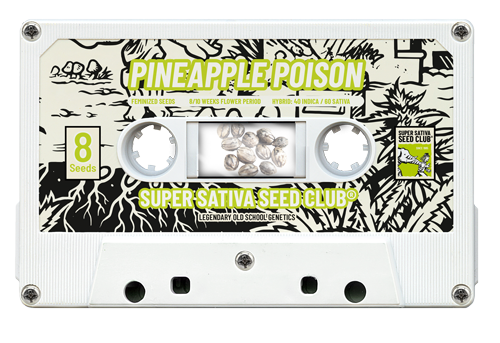 Pineapple Poison - Super Sativa Seed Club
