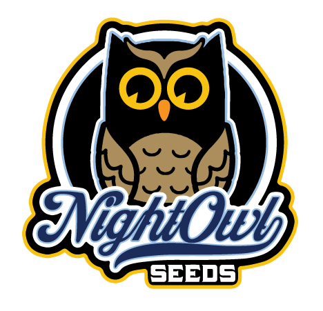 Zamango - Night Owl Seeds