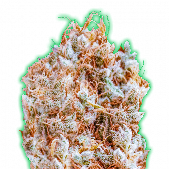 Monster Zkittles - Monster Genetics