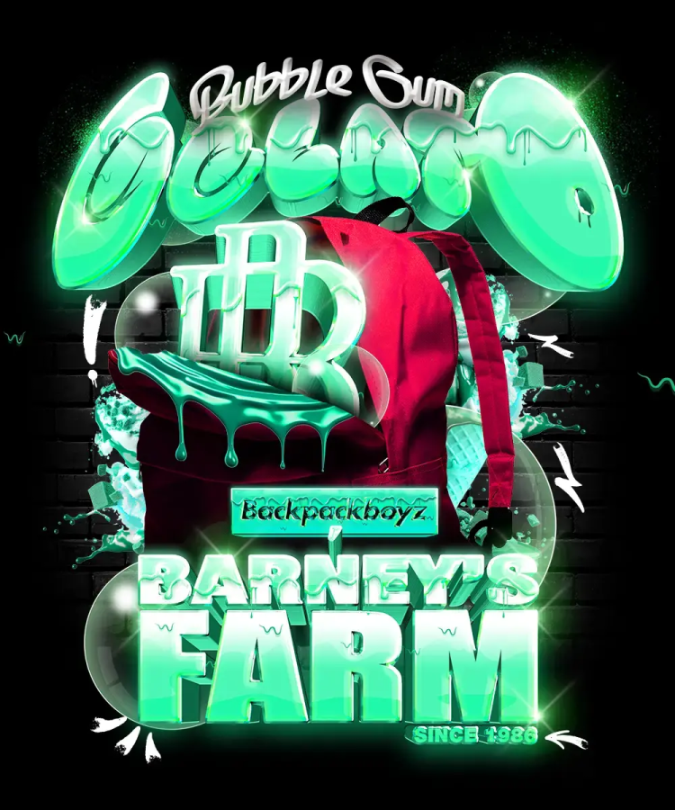Bubblegum Gelato - Barney's Farm