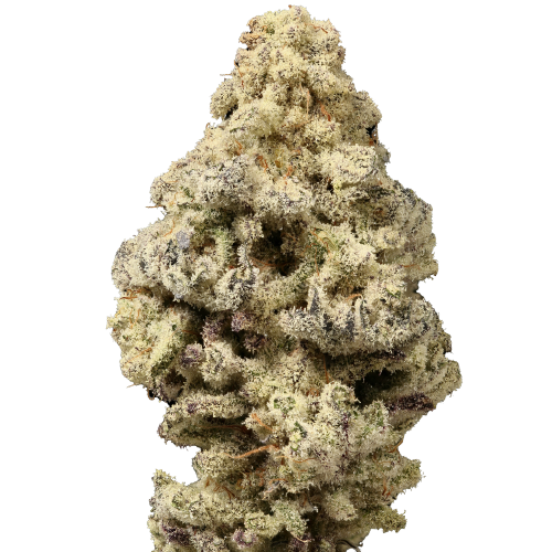 Limited Edition Mac 'N Cheese - Growers Choice
