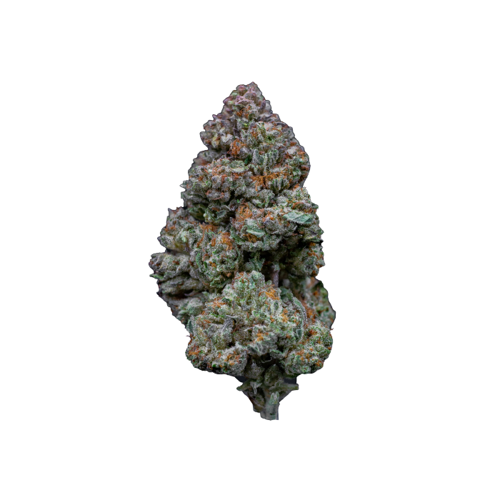 RS11 (Rainbow Sherbert #11) - Growers Choice