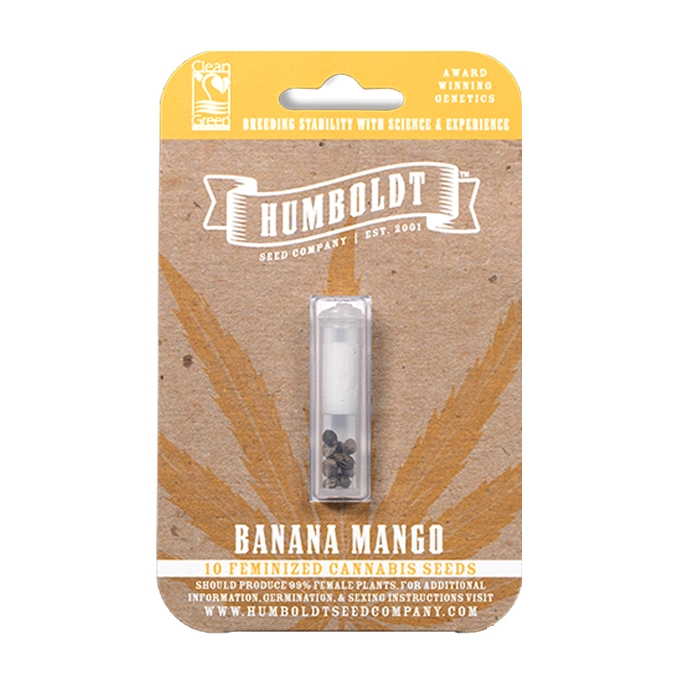 Banana Mango - Humboldt Seeds Company