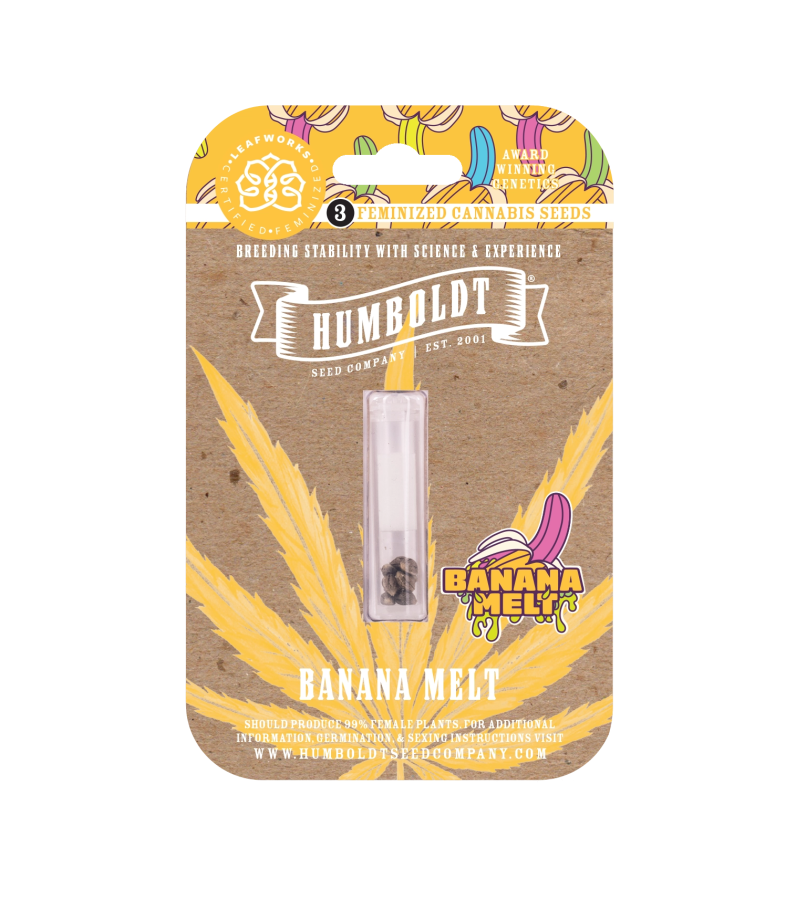 Banana Melt - Humboldt Seeds Company