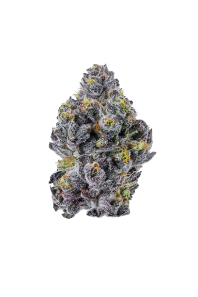 Sticky Wasabi Triploid F1 - Growers Choice