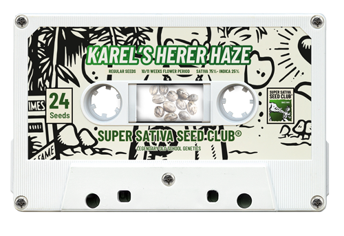 Karel's Herer Haze - Super Sativa Seed Club
