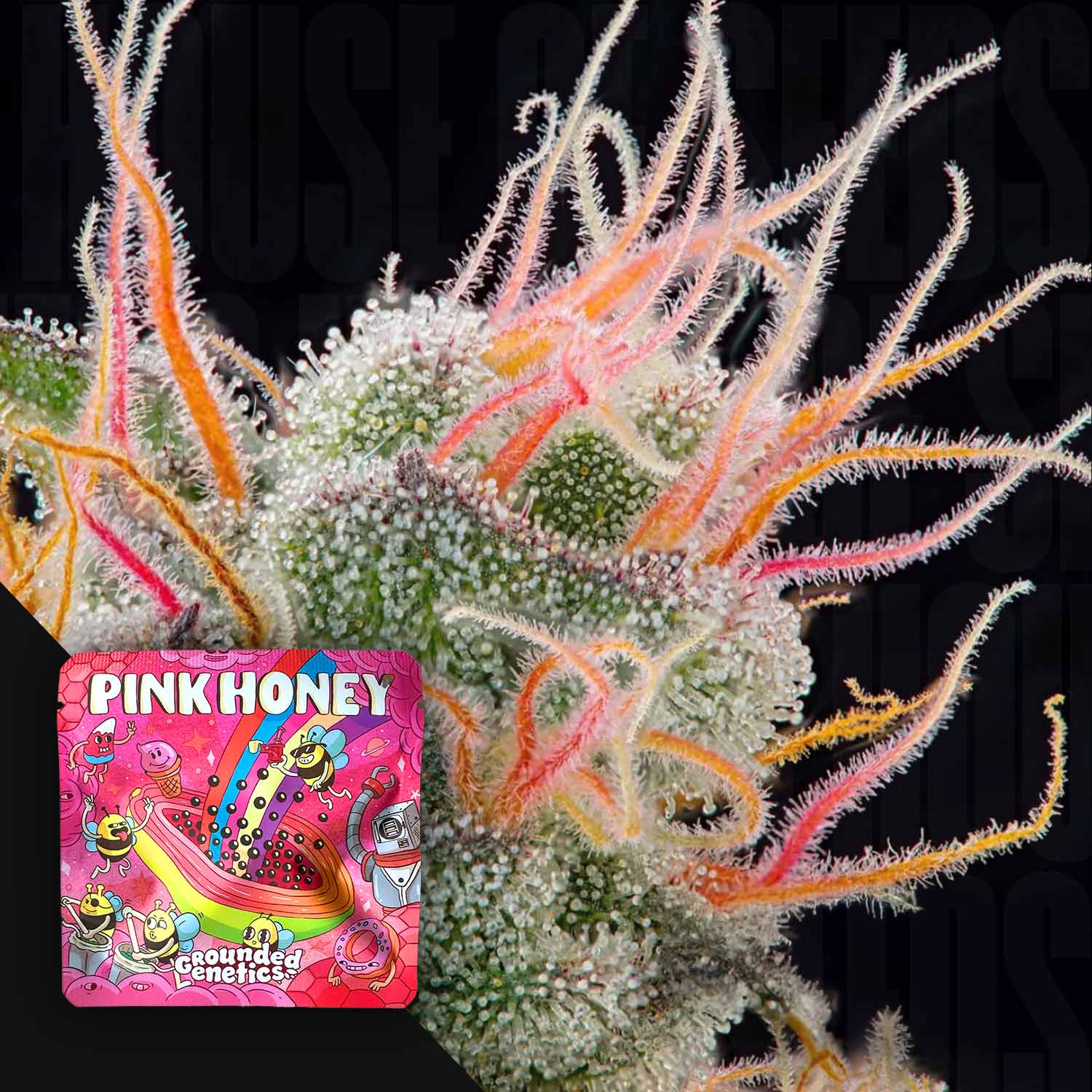 Pink Honey