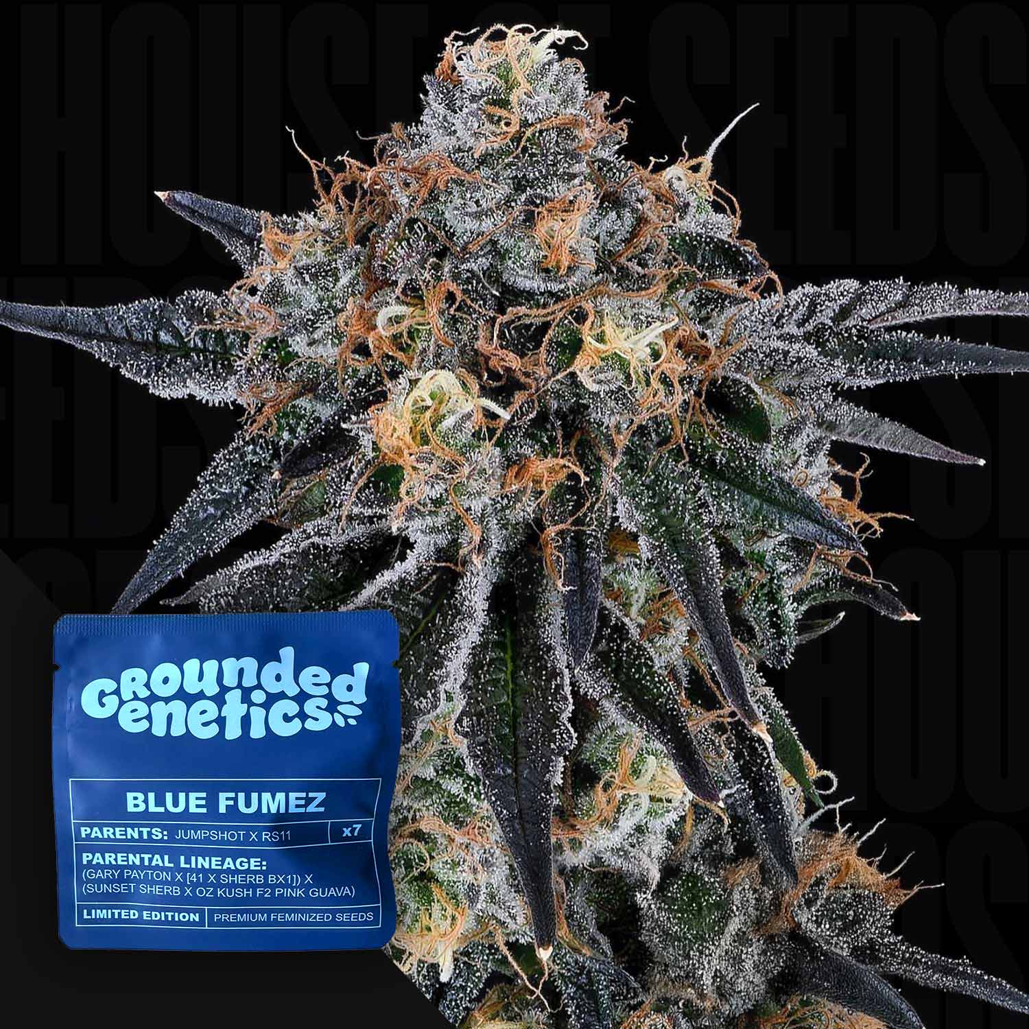 Blue Fumez