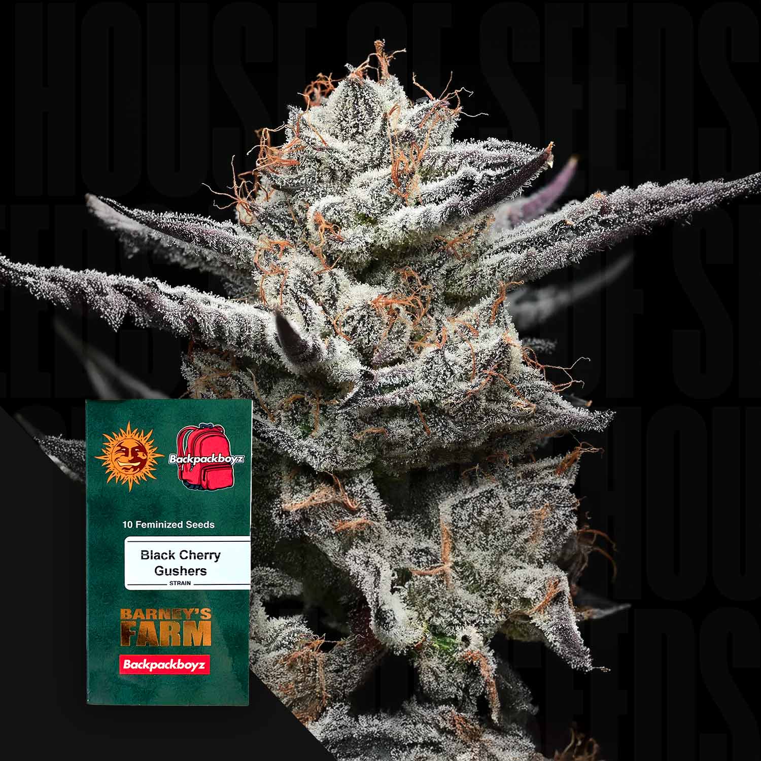 Black Cherry Gushers