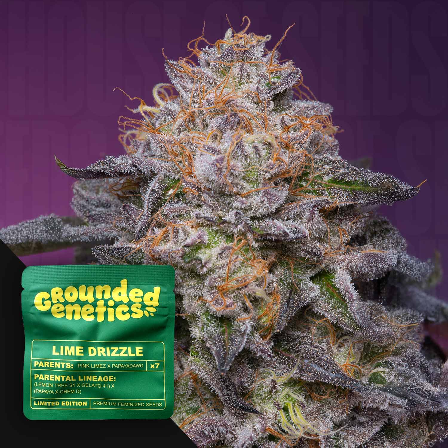 Lime Drizzle
