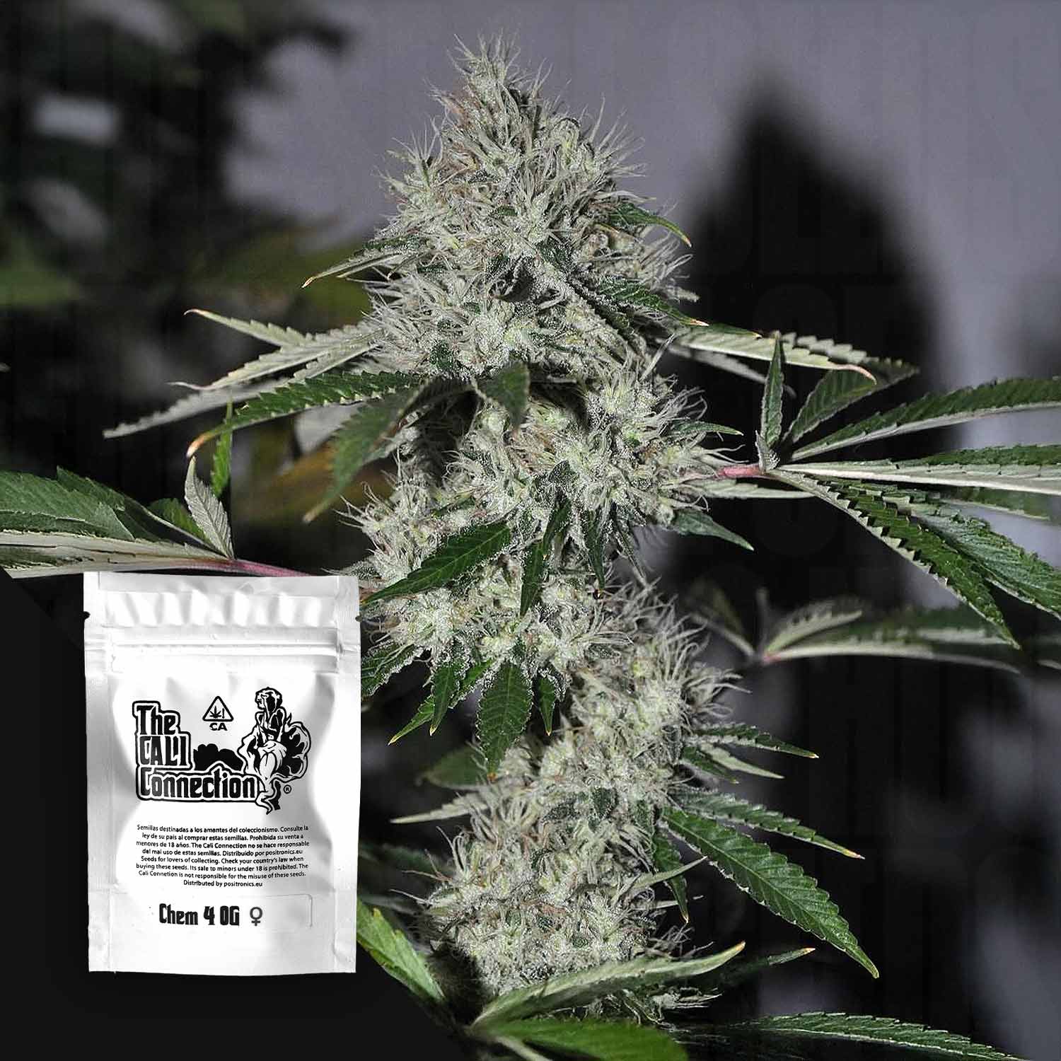 Chem 4 OG