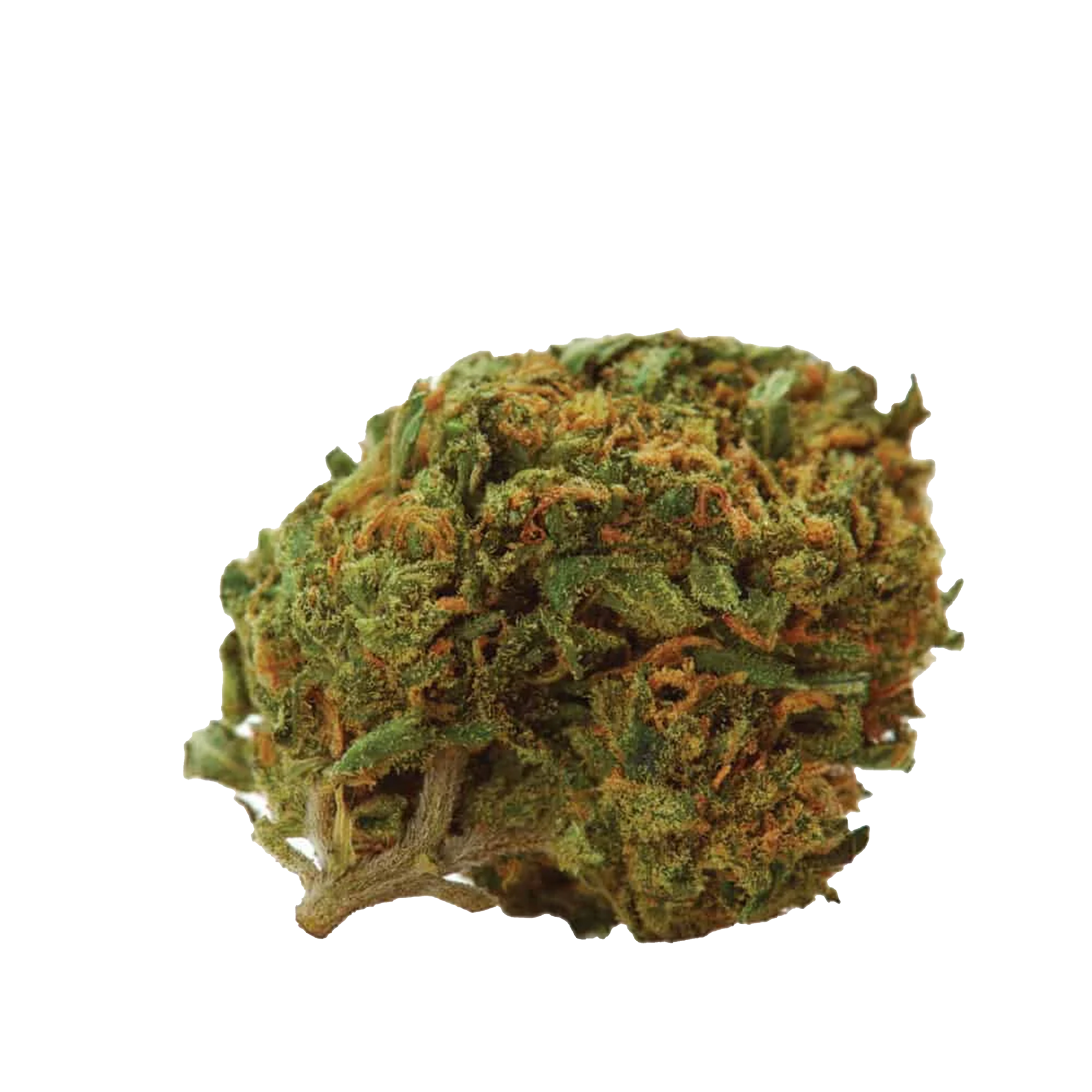 Durban Cannabis Samen Premium THC 12%