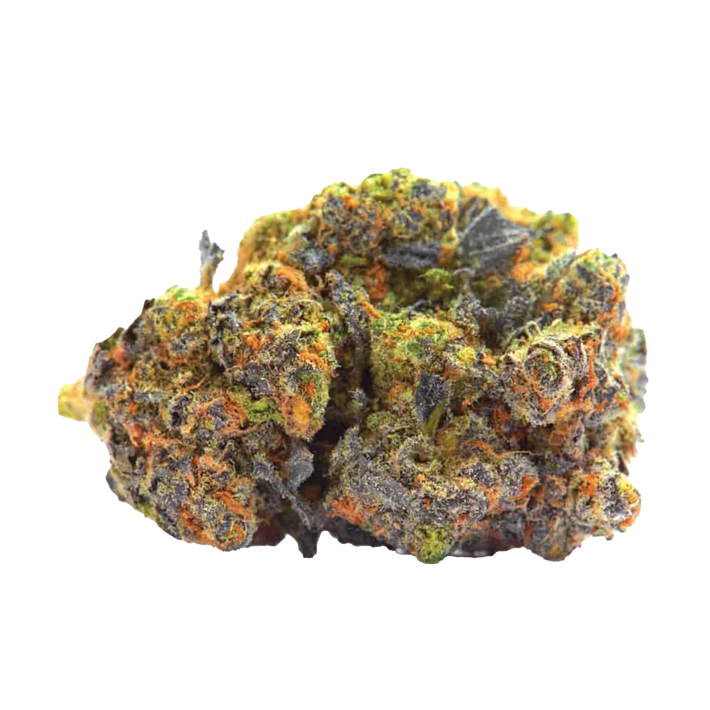 Lavender Cannabis Samen Premium THC 20%