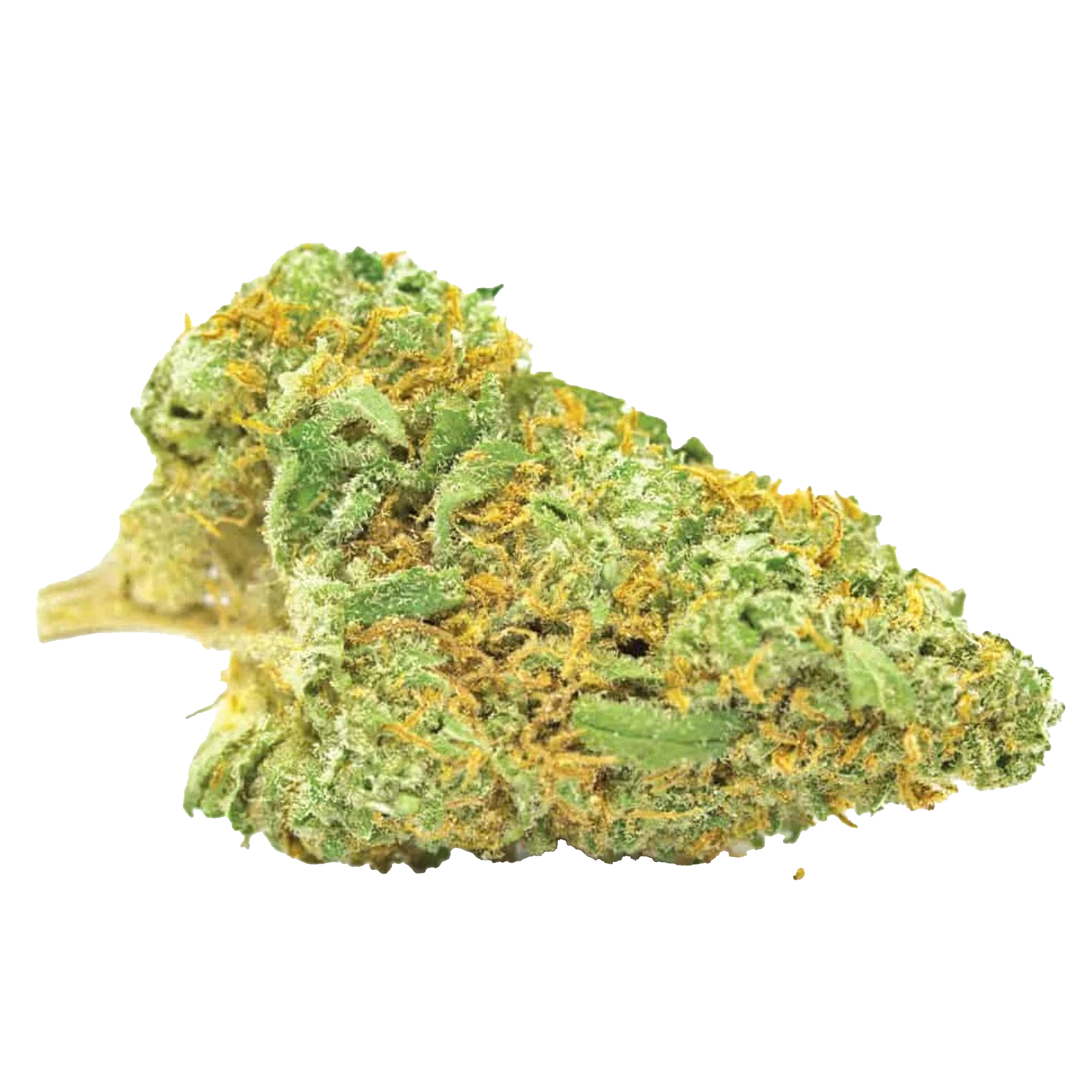 Nepal Gold CBD Cannabis Samen Premium THC 7% CBD 10%